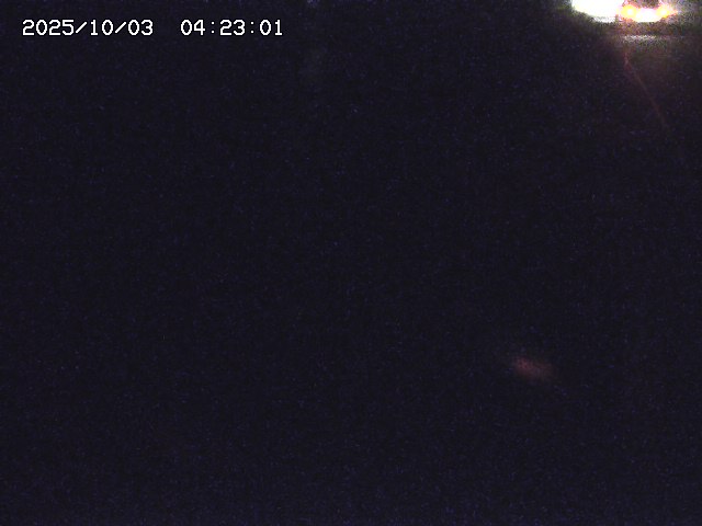 取得できませんでした