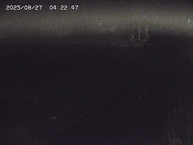 取得できませんでした