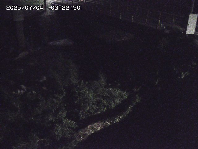 取得できませんでした