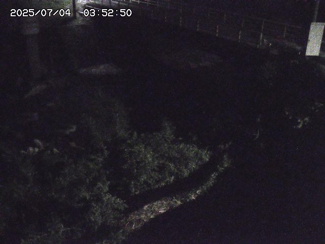 取得できませんでした