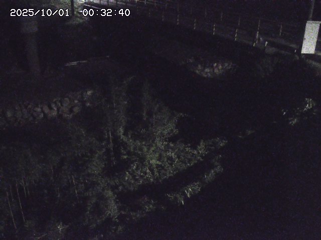取得できませんでした