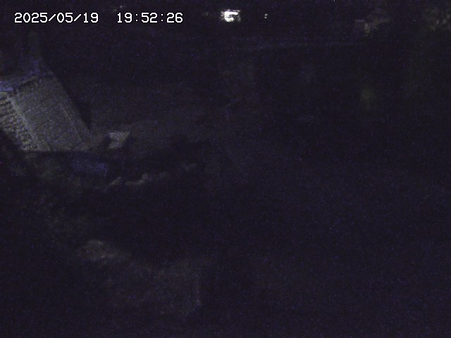 取得できませんでした
