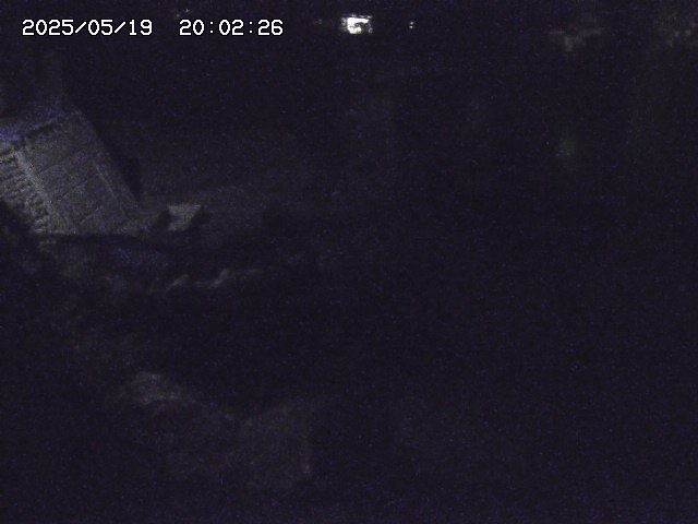 取得できませんでした