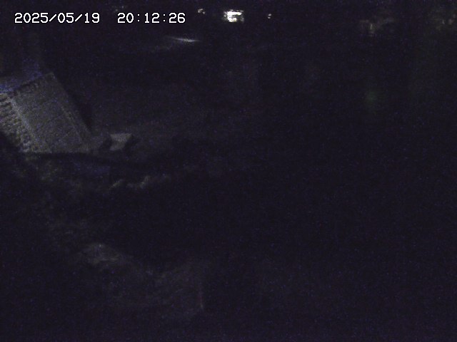 取得できませんでした