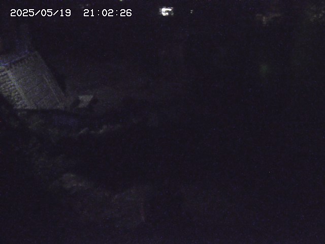 取得できませんでした