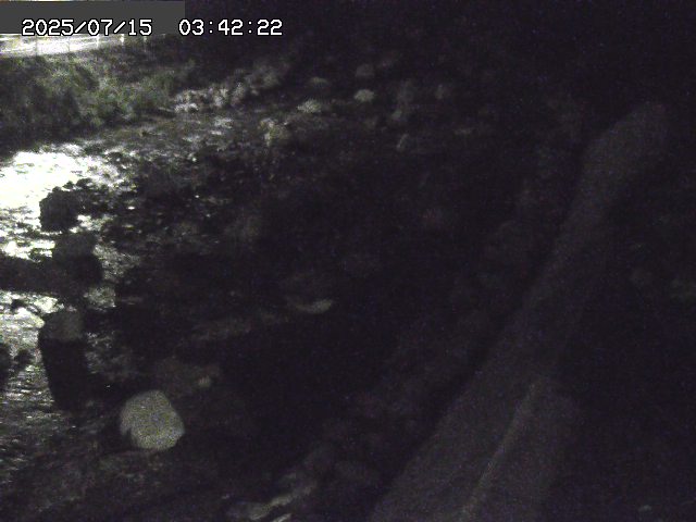 取得できませんでした