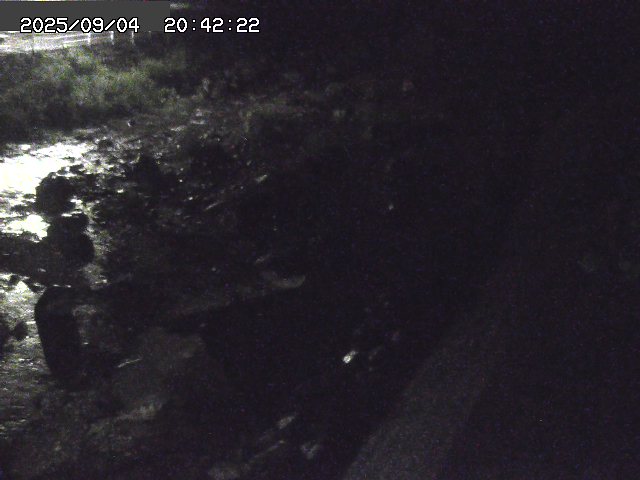 取得できませんでした