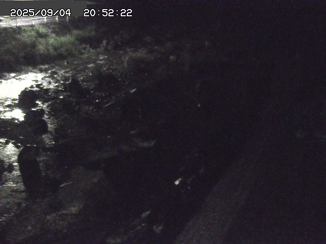 取得できませんでした