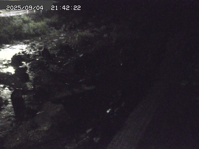 取得できませんでした