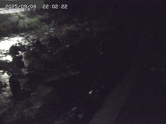 取得できませんでした