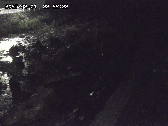 取得できませんでした