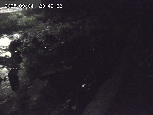 取得できませんでした