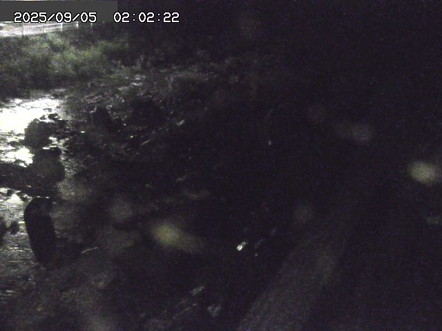 取得できませんでした