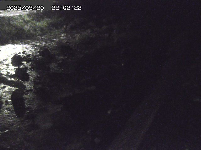 取得できませんでした