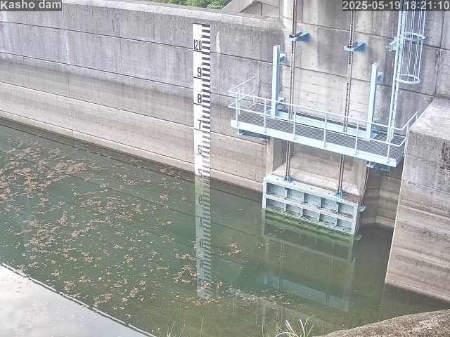 取得できませんでした