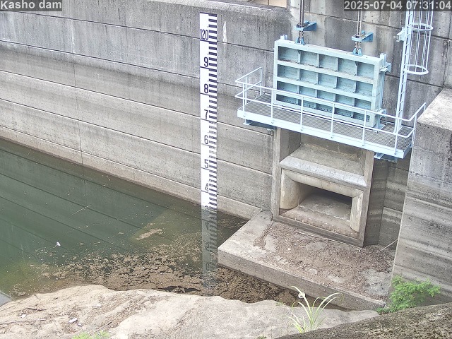 取得できませんでした