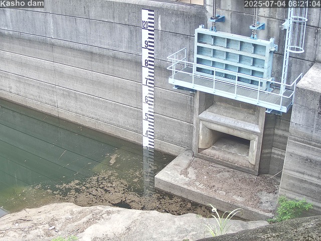取得できませんでした