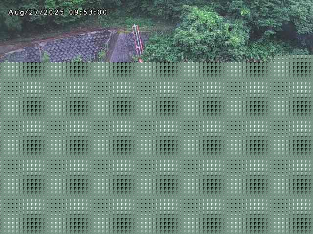取得できませんでした